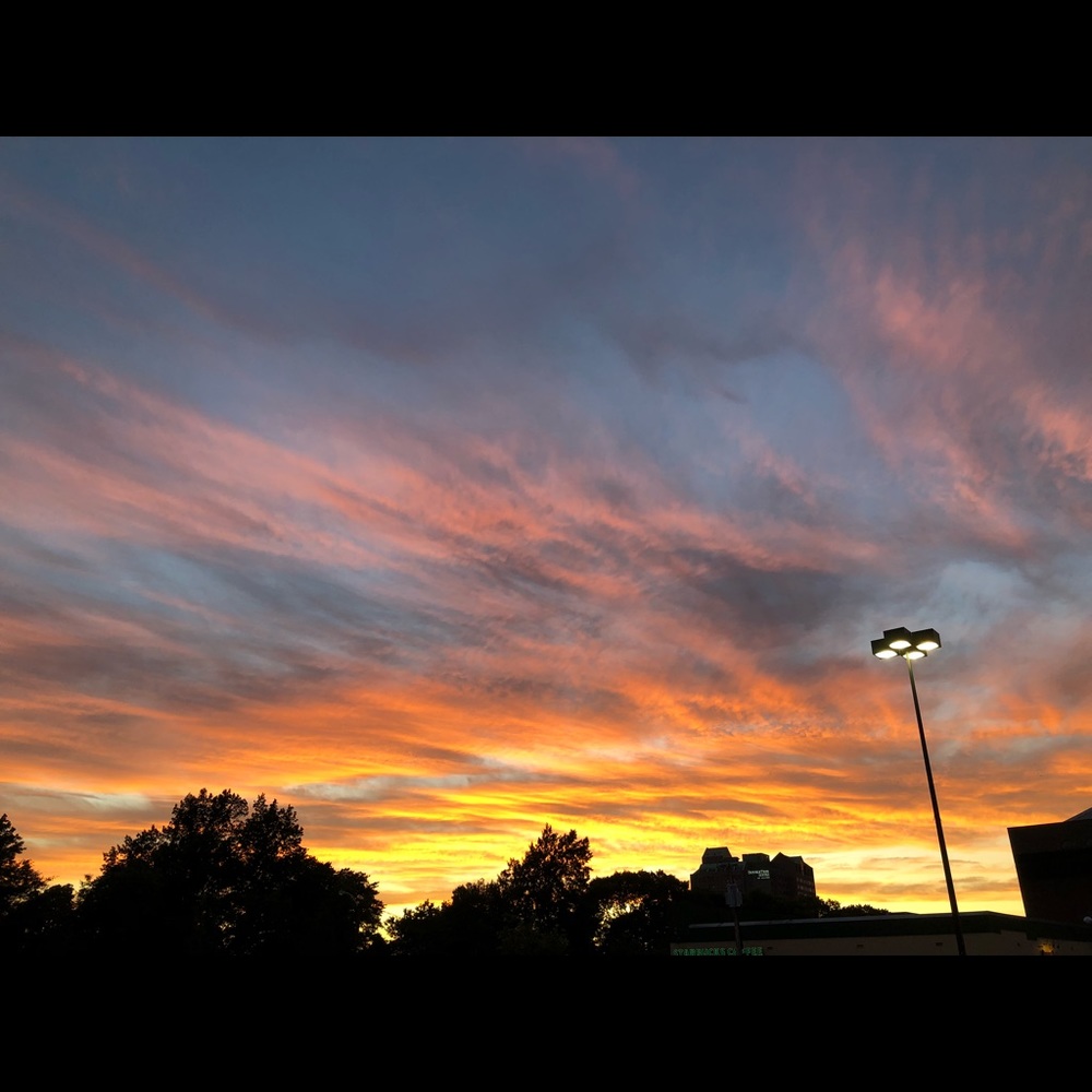 Meet your Posher, Ana